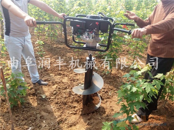 苗木种植挖穴 畜牧围栏埋桩挖穴 汽油挖坑机价格 挖坑机