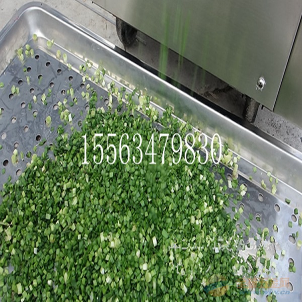 五寨县 不锈钢660商用 小型切菜机 碎菜机