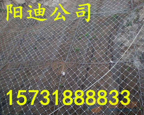 杭州主动防护网,杭州山体防护网,杭州钢丝绳护山网 防护网