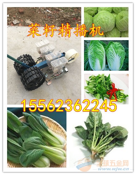 手推式蔬菜播种机 大棚谷子娃娃菜蔬菜种种植机 文轩种植机械 各种型号播种机