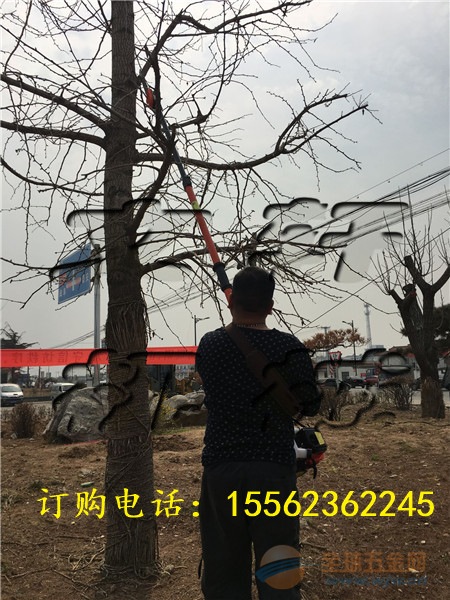 汽油高枝锯 汽油高枝锯型号 汽油高枝锯厂 高枝绿篱机