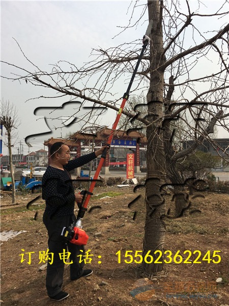 多种刀头用高枝锯 汽油高枝锯价格 高枝绿篱机