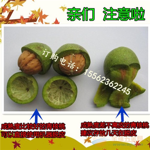 长春 板栗脱壳机 可换档位调大小鲜核桃去皮机 文轩 核桃剥皮 收获机械