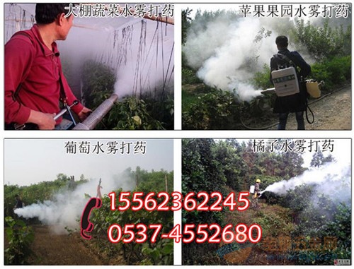 农用型弥雾机 打药机(车)
