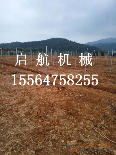 甘肃省 花园植树挖坑机 拖拉机打洞机厂家 挖坑机