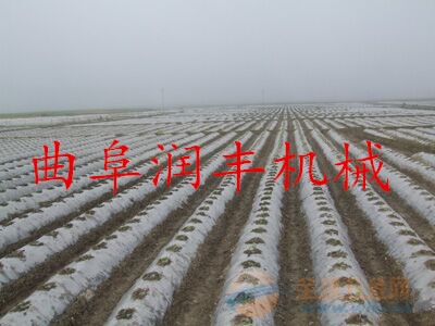 割草机X季 广州道路绿化割草机 割草机
