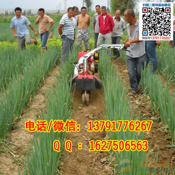 果树开沟耕地机 葡萄埋滕培土机 多少钱一台? 果树开沟耕地机 葡萄埋滕培土机 多少钱一台?