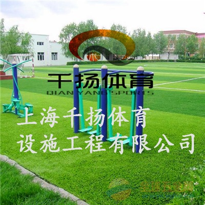 徐州人造草坪每平方米价格 徐州人造草坪