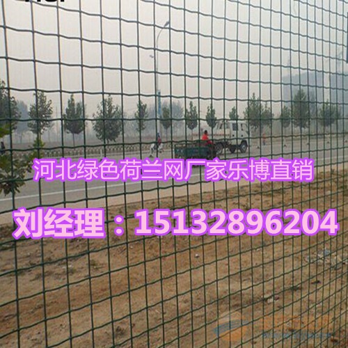 湖北绿色铁丝网武汉养殖荷兰网黄石农场围网