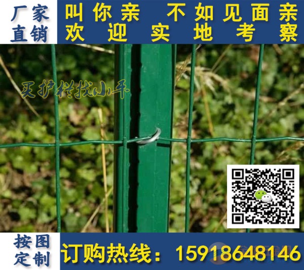 阳江养殖护栏网 PVC荷兰网防护网厂家批发 现货围栏网价格