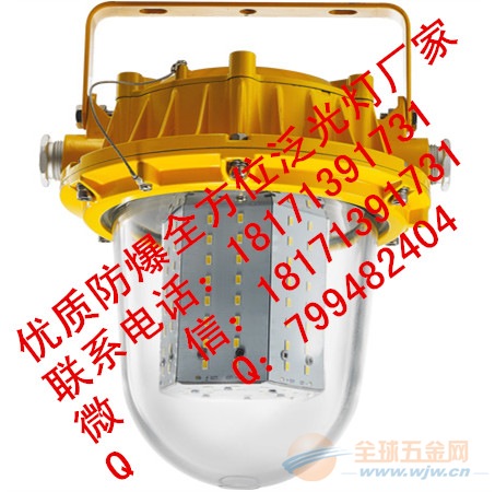 ZL8924固态防爆全方位泛光工作灯70w/100w ZL8924防爆LED灯