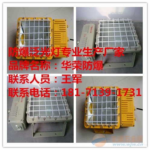 自贡市BAT53-L400防爆泛光灯 BAT53防爆泛光灯