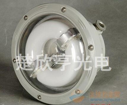 TX-0202-40W防水防尘无极顶灯TX-0202 铁讯 TX-0202-40W