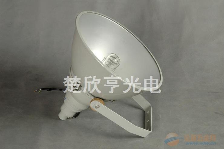 PD-GN8015分体式强光投光灯PD-GN8015 普大 PD-GN8015