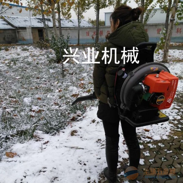 大棚保温吹雪机 大功率手持式吹风机 X的汽油吹风机报价 路面吹雪机 汽油吹风机