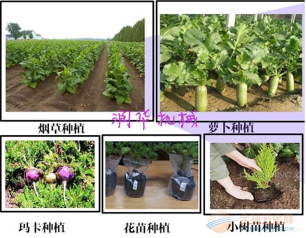 电动烟钻 烤烟覆膜打孔机 供应电动烟钻 烟钻