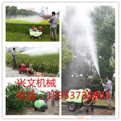 打药机 XX多功能打药机 打药机生产厂家 植保机械