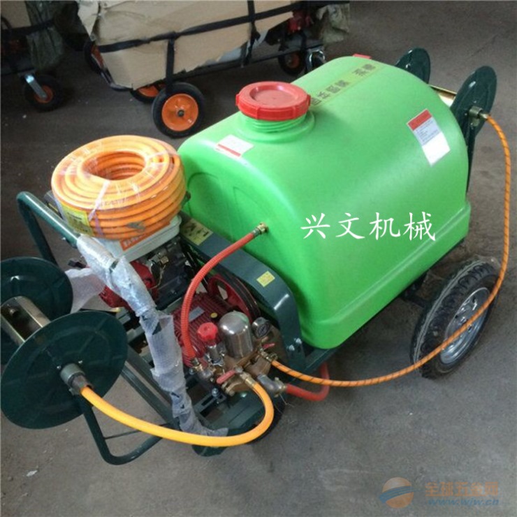 手推式果树打药机 汽油消毒机厂家 四冲程大压力打药机 植保机械