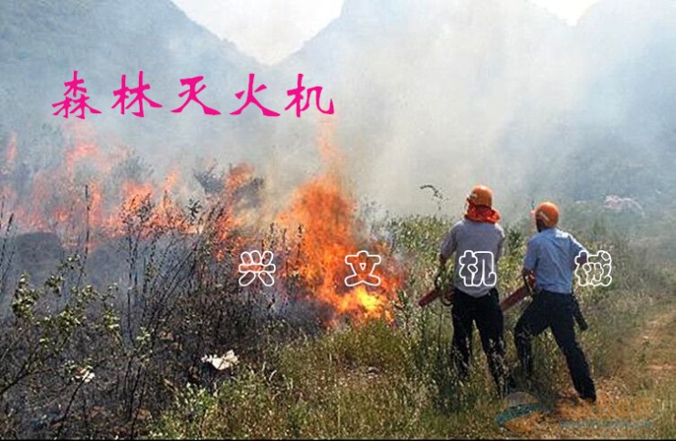 冬季道路清理用吹雪机 高效吹雪机价格 背负式清理机 林业机械