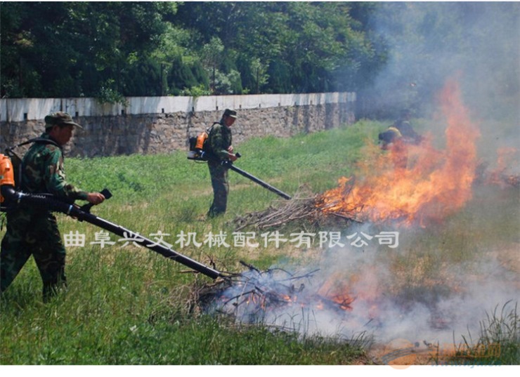 工程市政X汽油吹风机 林业机械