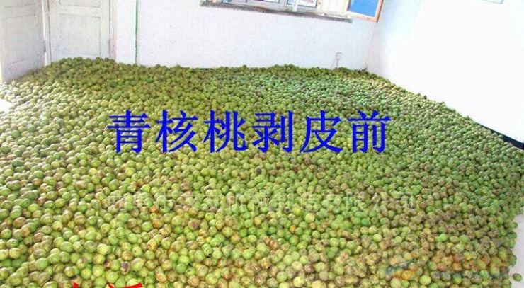操作简单青核桃脱皮机 全自动的核桃去皮机 农友牌青核桃剥皮清洗一体机