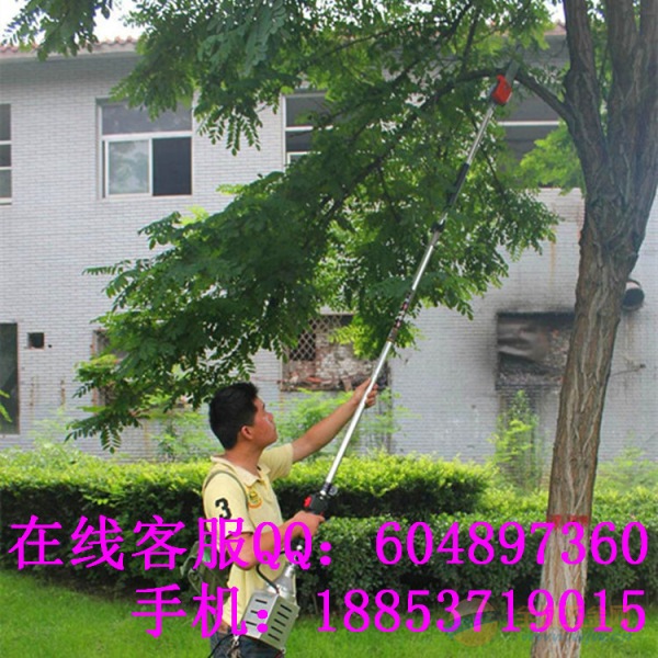 背负式油锯 高枝锯 多功能 操作杆可加长 厂家X 高枝锯