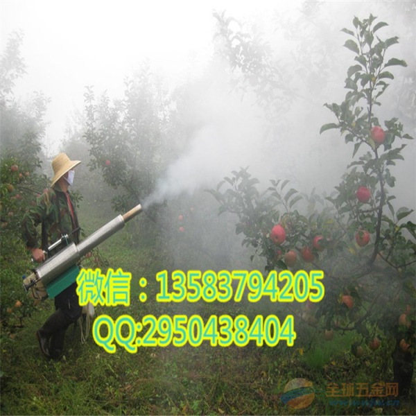 厂家直供X大功率农用烟雾机 喷雾喷粉机