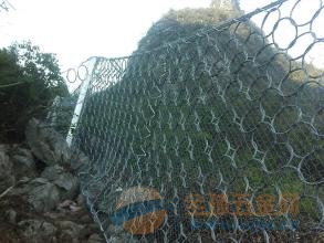 RXI100被动环形网价格(图) 防护网