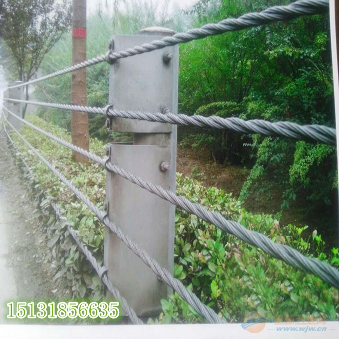 专业销售缆索护栏网_价格公道