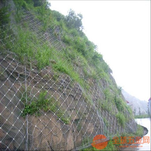 厂家X碎石防护网|包石头网|岩石防护网_长期现货供应 碎石防护网