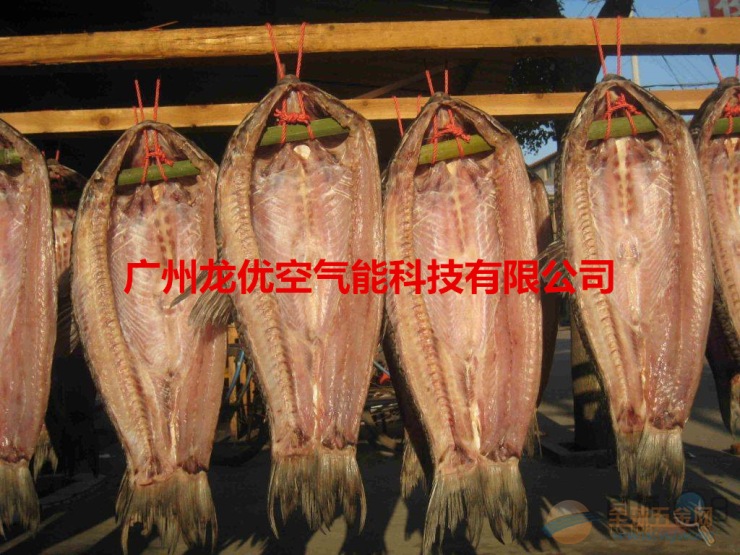 龙X3P食品烘干机设备 热泵食品烘干机报价 食品烘干机