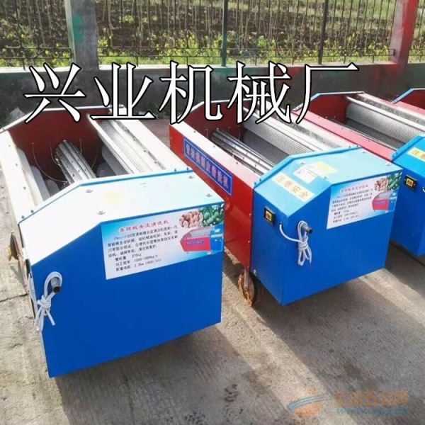 滚筒式核桃剥壳机 厂家热卖核桃剥壳机 鲜核桃去皮机 青核桃去皮机