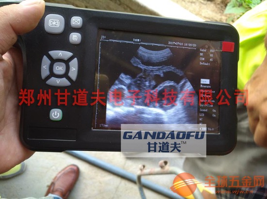 高清猪用B超测孕仪价格,甘道夫猪用B超多少钱一台