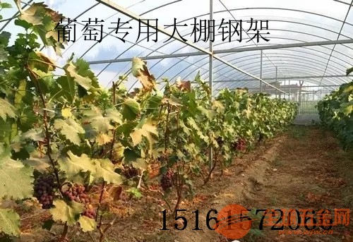江苏徐州大棚管江苏徐州葡萄大棚管江苏徐州葡萄钢架热镀锌大棚管