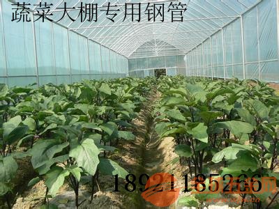 重庆渝中大棚管重庆渝中蔬菜大棚管重庆渝中日光温室蔬菜大棚长短尺寸可加工