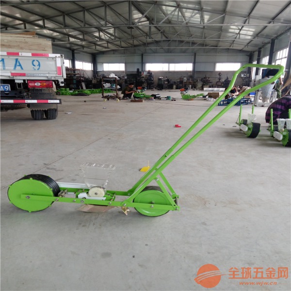 蔬菜播种蔬菜播种台州 蔬菜播种蔬菜播种台州