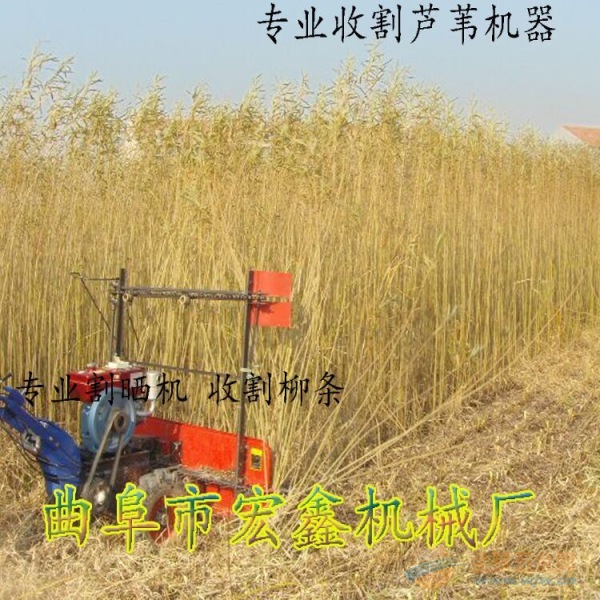 自行步走玉米收割机海曙区水冷发动机辣椒割晒机 自行步走玉米收割机海曙区水冷发动机辣椒割晒机
