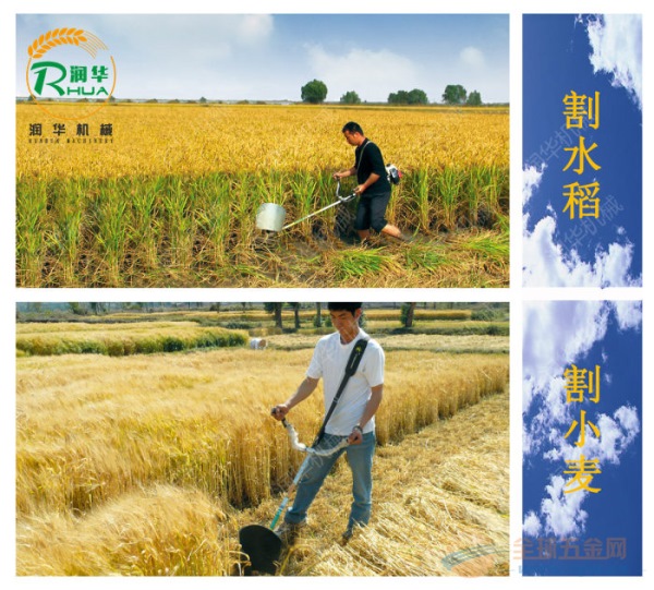 园林草坪修剪机 修剪机 假俭草割草机 背负式割草机