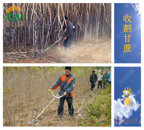 各种型号草坪割草机 山地割草机 珍珠草割草机 背负式割草机