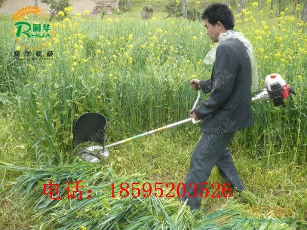 园林割草打草机械 孝感 大棚除草松土机 园林割草打草机械 孝感 大棚除草松土机