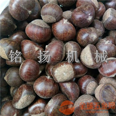辣椒滚筒炒锅机 自动炒板栗机 节能环保炒货机 品质保证 炒货机