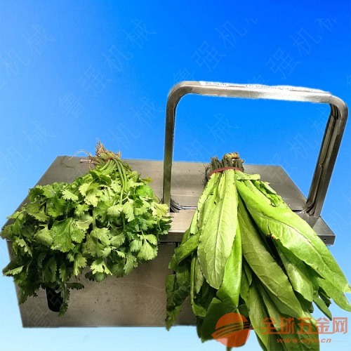 贵阳物品捆扎机批发 贵阳物品捆扎机批发