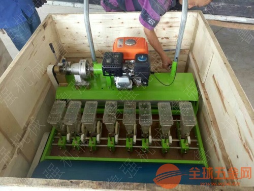 青岛洋葱汽油播种机型号 青岛洋葱汽油播种机型号