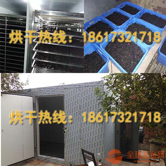 空气能桑果烘干机 智能化控制、省电又环保 桑葚果烘干机