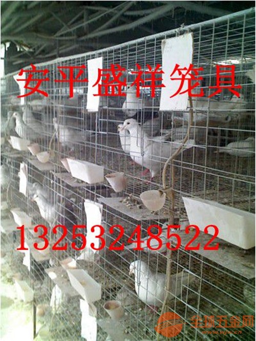 福州市盛祥3层的鸽子笼多少钱一组鸽子笼价格 鸽笼