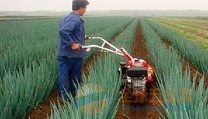 菜地开沟机价格 菜地开沟机价格