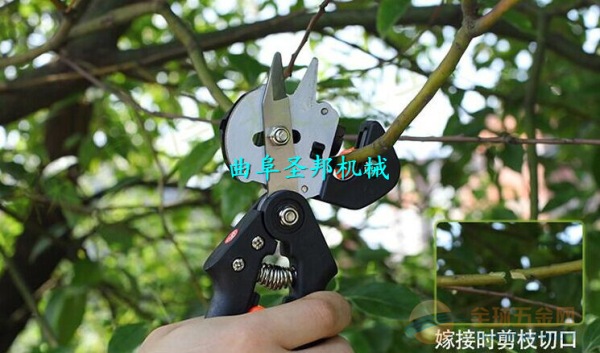 小型果树X嫁接机 台湾进口嫁接机厂家 嫁接机