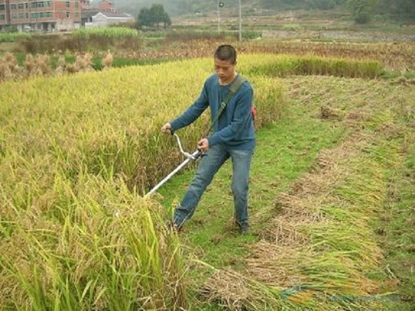 三明割草机厂家 三明割草机厂家