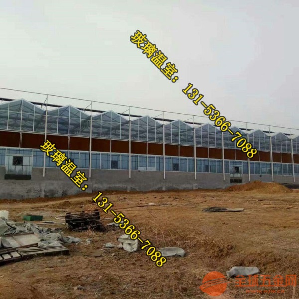 武汉智能大棚玻璃大棚塑料大棚厂家 建设玻璃大棚智能大棚的公司